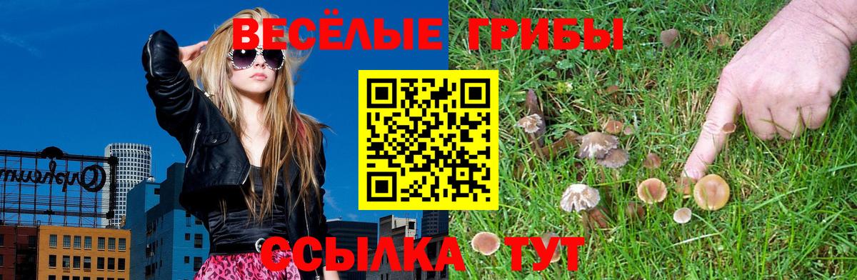 Гудермес  Галлюциногенные грибы прущие грибы  Галлюциногенные грибы мухоморы  Вход с VPN 