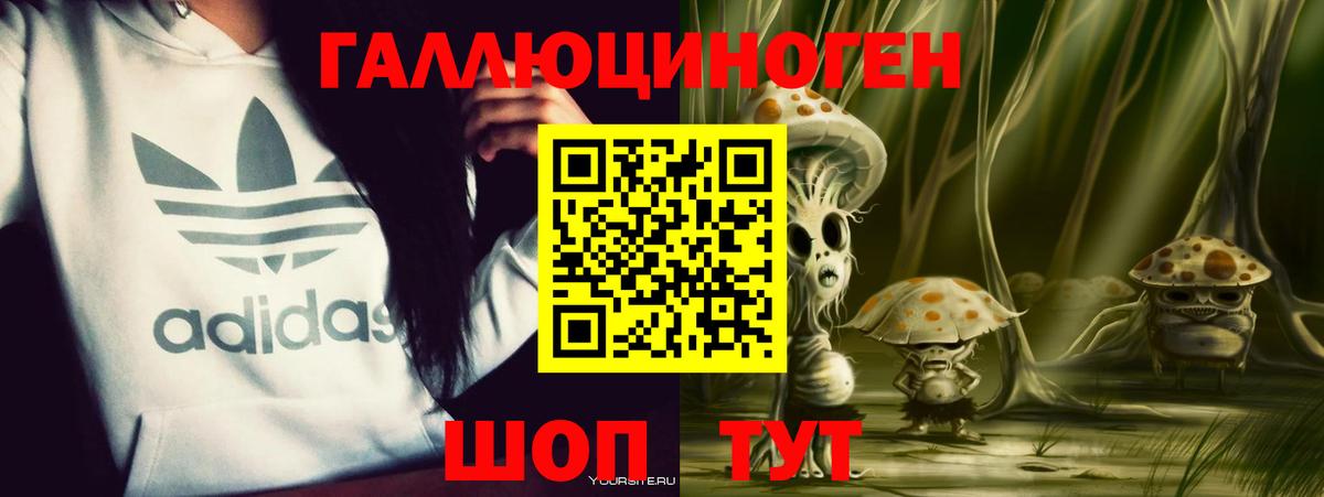Псилоцибиновые грибы ЛСД Гудермес