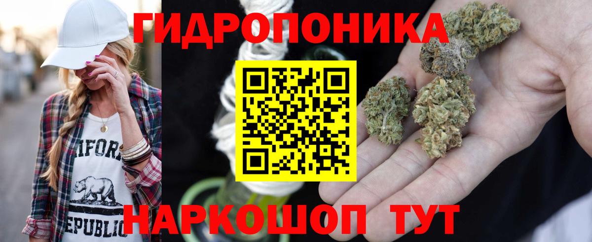 Гудермес  Марихуана индика  Бошки Шишки семена  Вход с VPN  Бошки Шишки сатива 